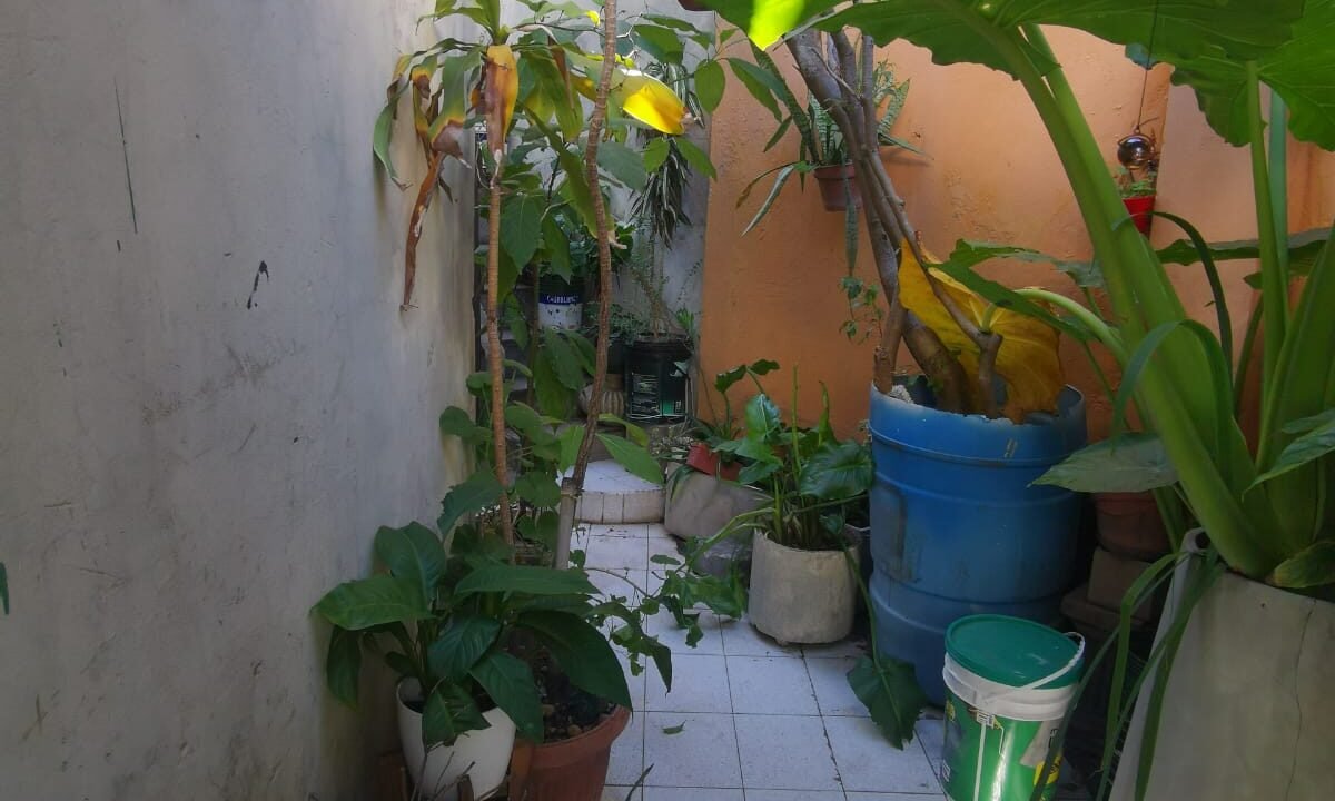 WhatsApp Image 2025-08-27 at 19.01.33