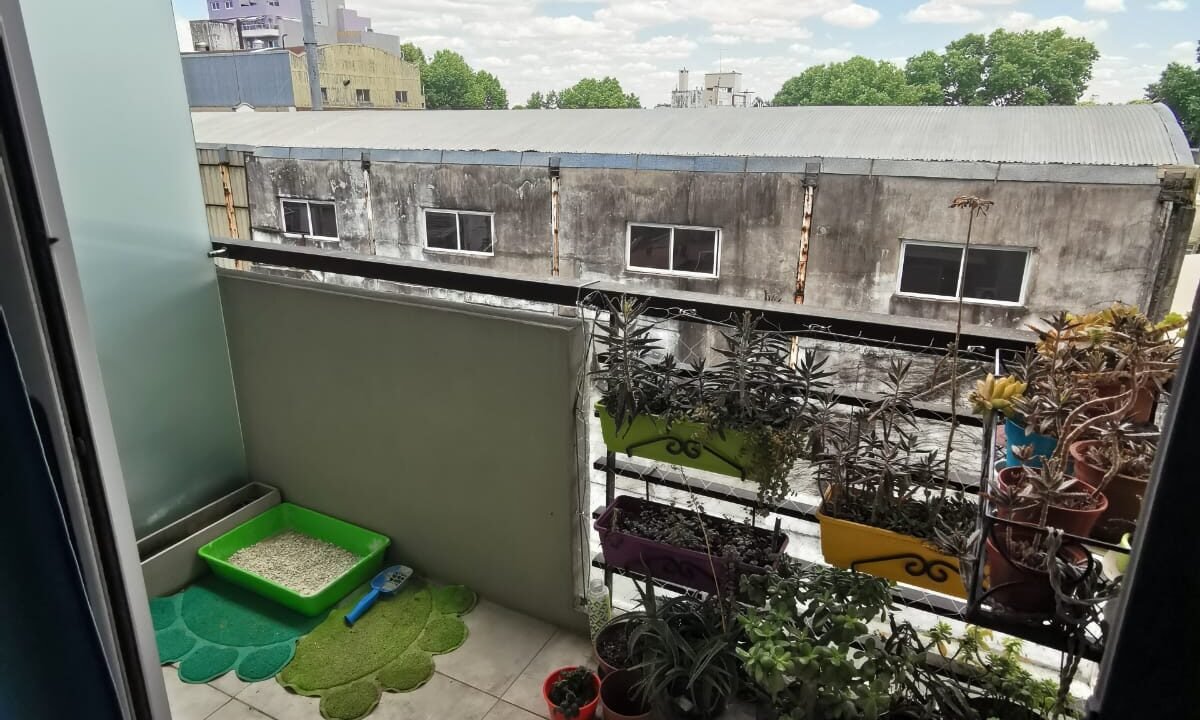 WhatsApp Image 2025-10-31 at 12.12.57