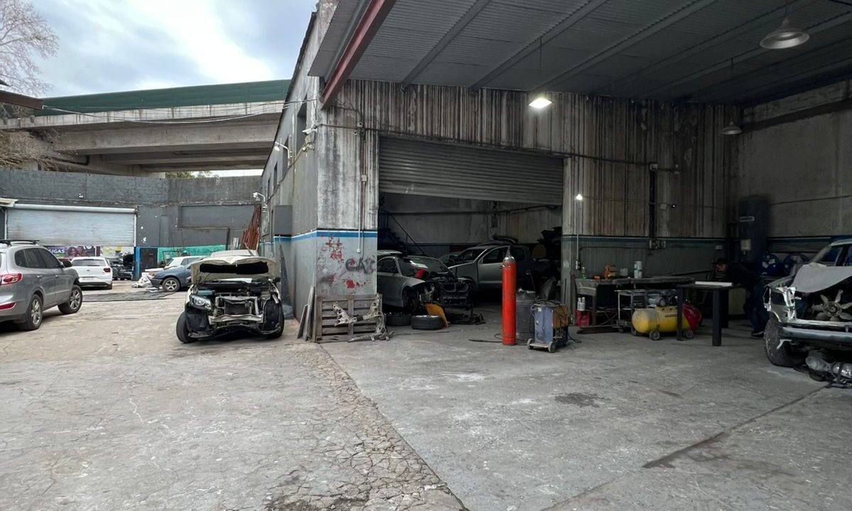 WhatsApp Image 2025-08-22 at 16.36.02