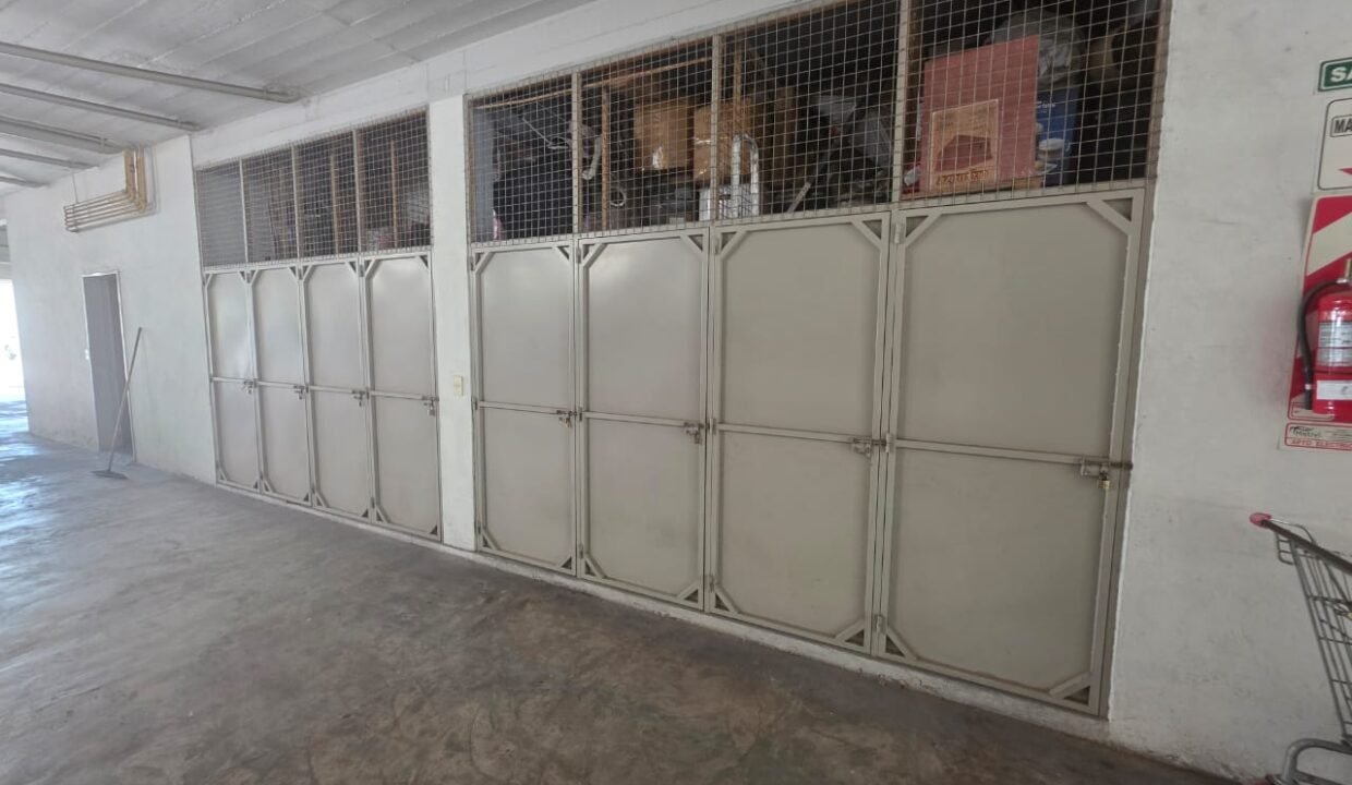 WhatsApp Image 2025-12-02 at 11.20.04