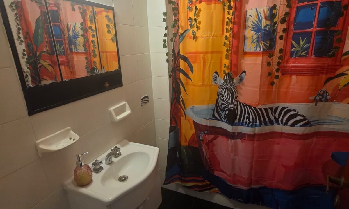 WhatsApp Image 2026-01-15 at 11.48.50