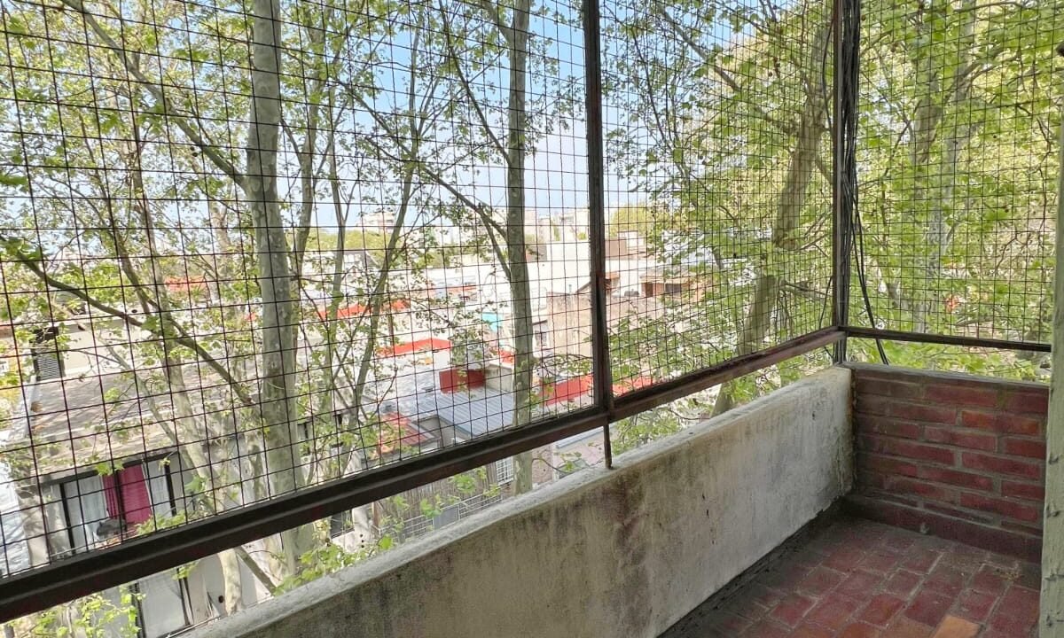 WhatsApp Image 2026-01-29 at 17.20.11 (3)