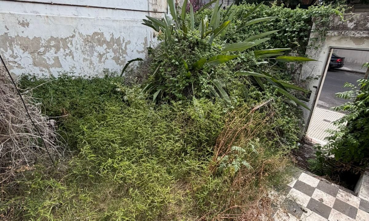 WhatsApp Image 2026-02-09 at 15.30.06 (1)