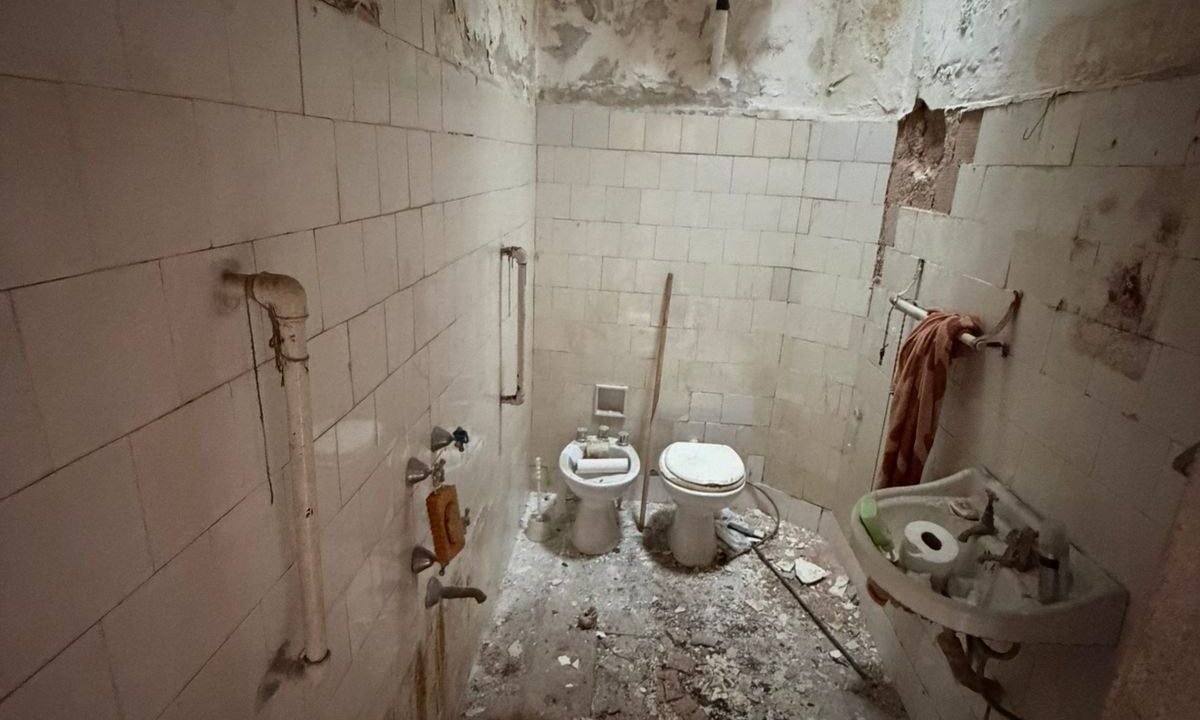 WhatsApp Image 2026-02-09 at 15.30.09