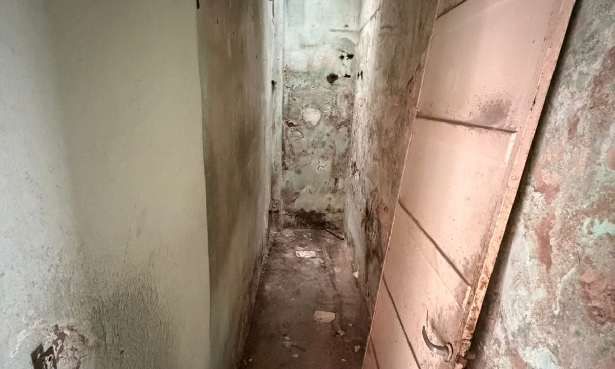 WhatsApp Image 2026-02-09 at 15.30.10