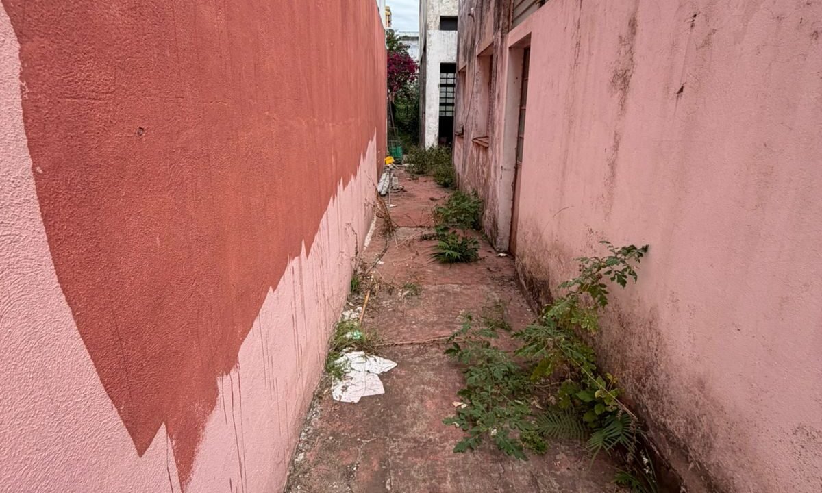 WhatsApp Image 2026-02-09 at 15.30.10 (2)