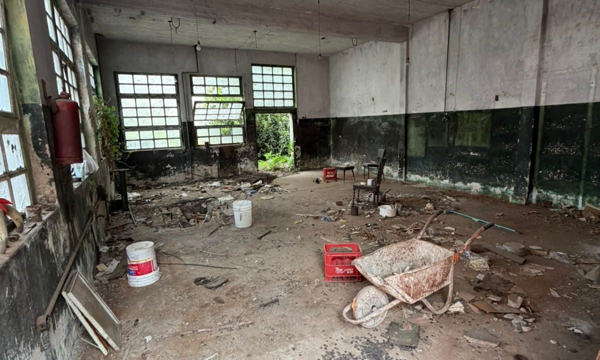 WhatsApp Image 2026-02-09 at 15.30.11 (1)