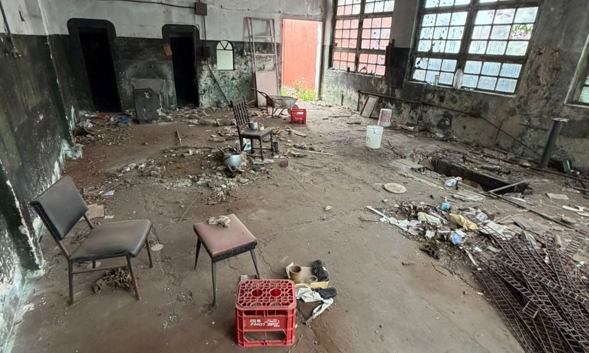 WhatsApp Image 2026-02-09 at 15.30.11 (2)