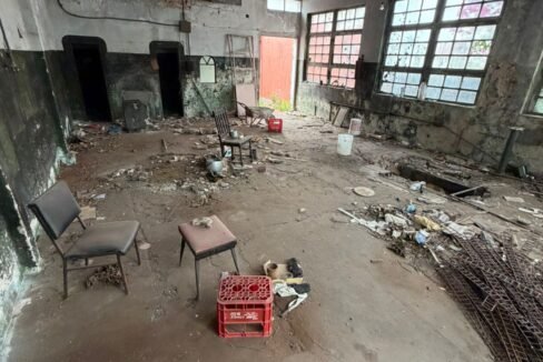 WhatsApp Image 2026-02-09 at 15.30.11 (2)