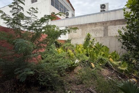 WhatsApp Image 2026-02-09 at 15.30.11 (3)