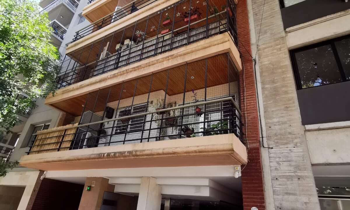 WhatsApp Image 2026-02-11 at 11.43.55