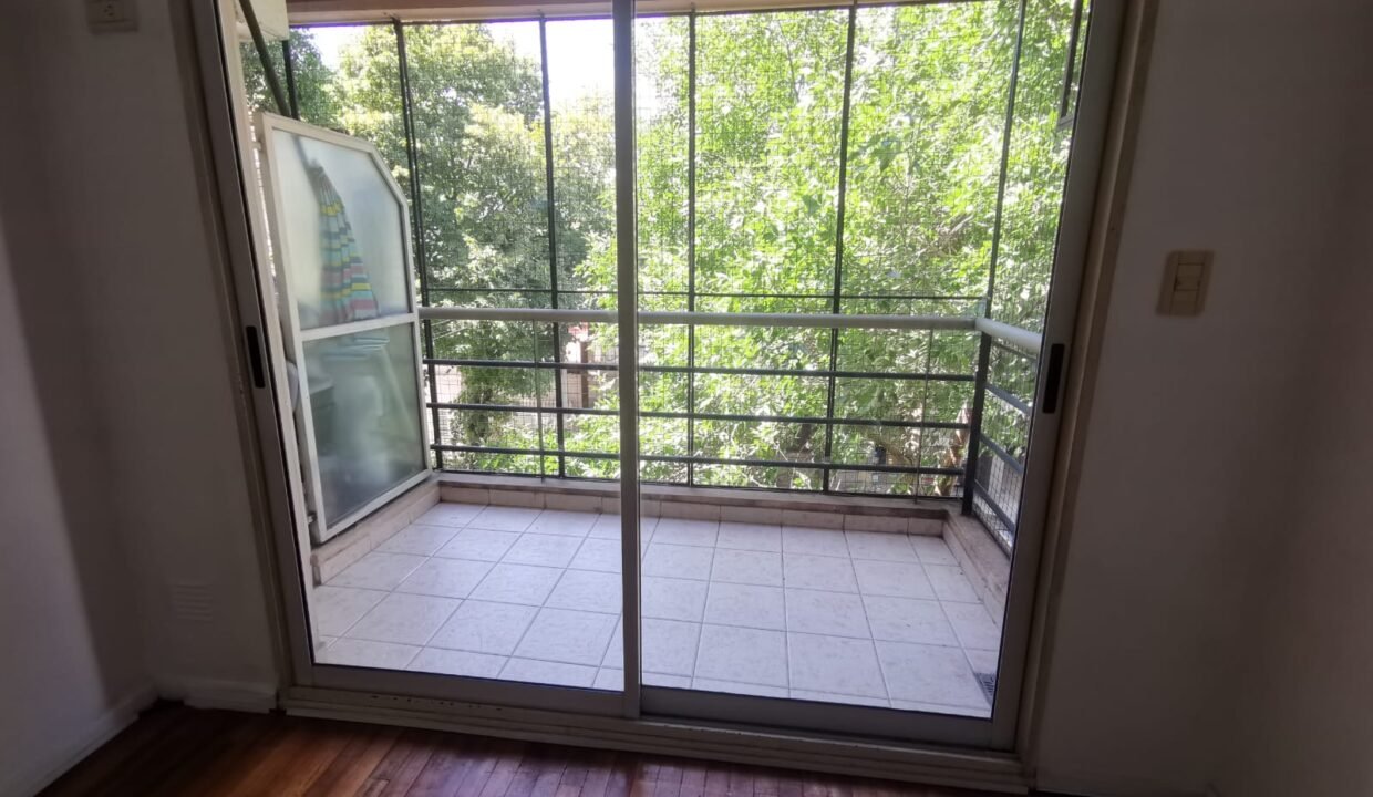 WhatsApp Image 2026-02-11 at 11.43.57