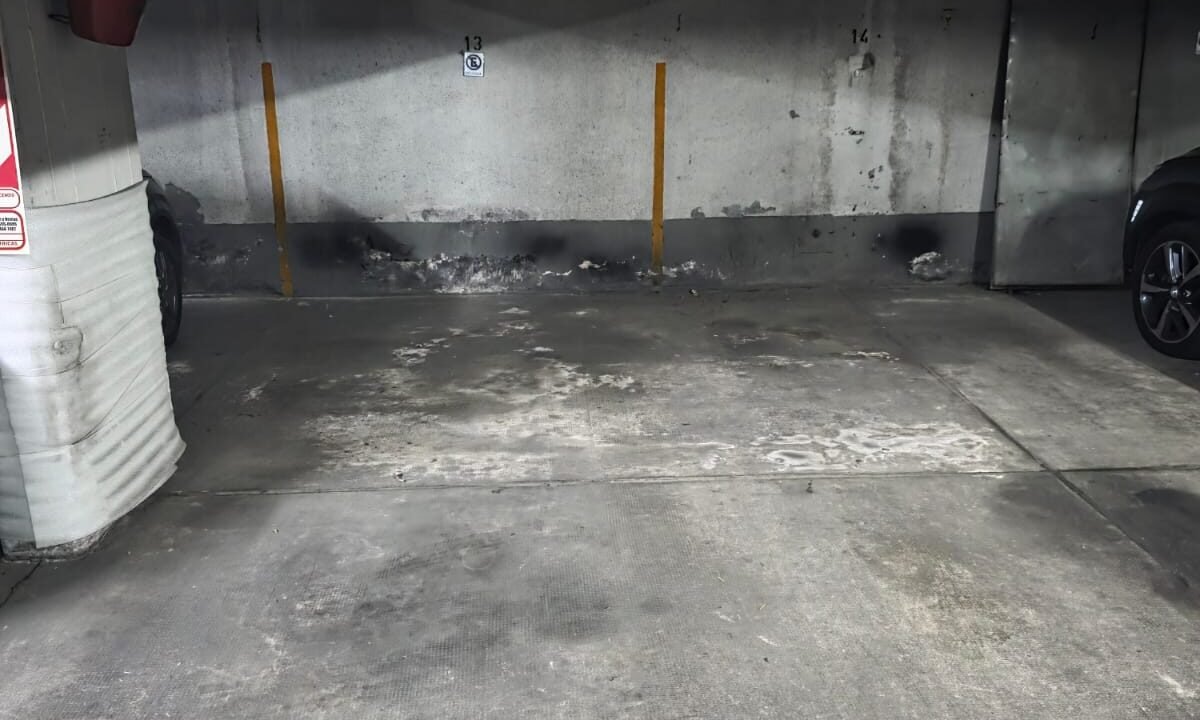 WhatsApp Image 2026-03-09 at 15.51.43