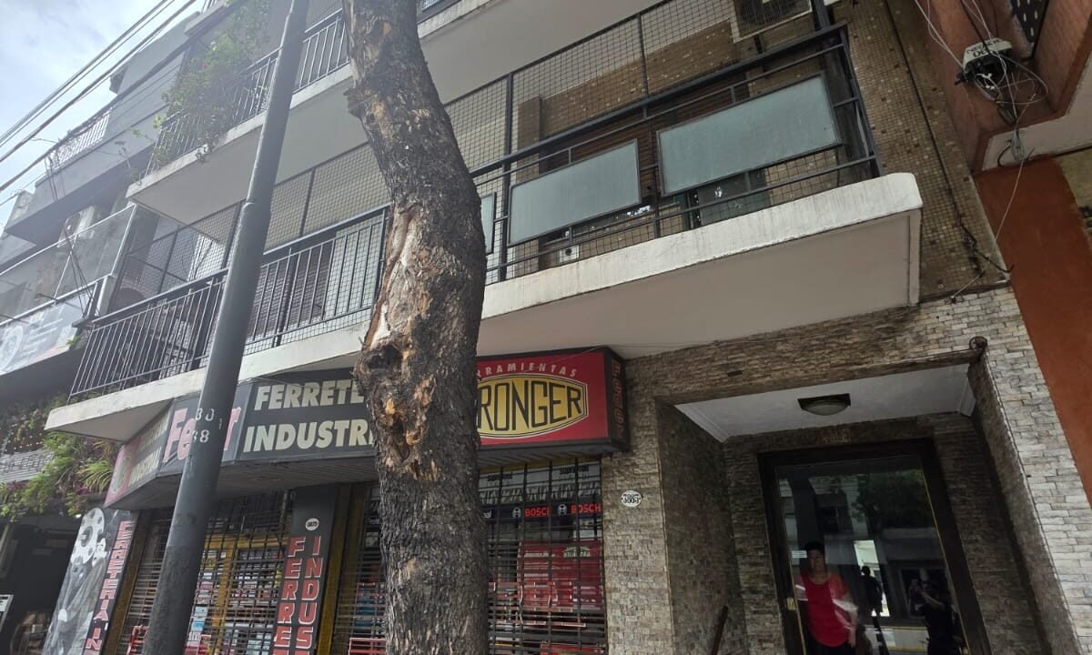 WhatsApp Image 2026-03-14 at 11.18.43 (1)