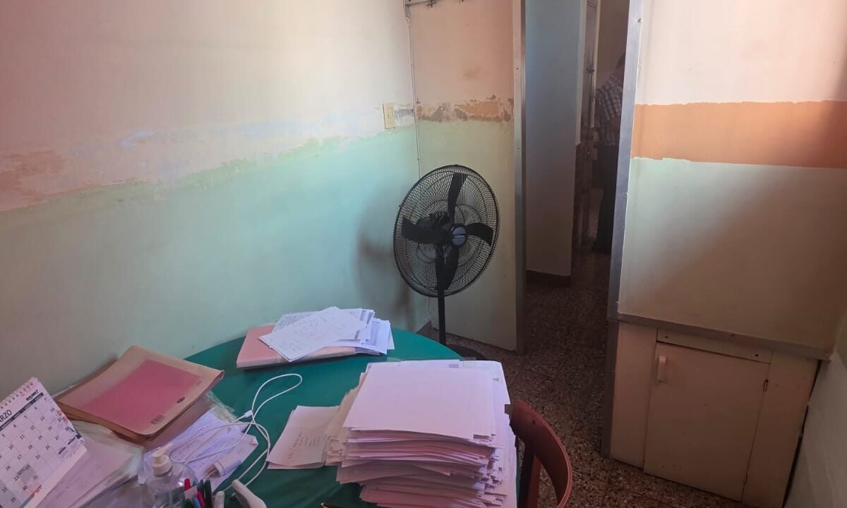 WhatsApp Image 2026-03-26 at 11.50.55