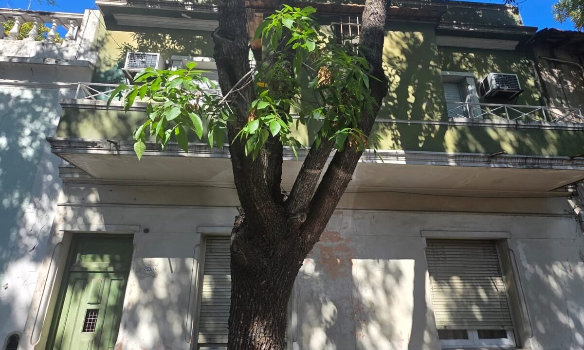 WhatsApp Image 2026-03-26 at 11.50.56