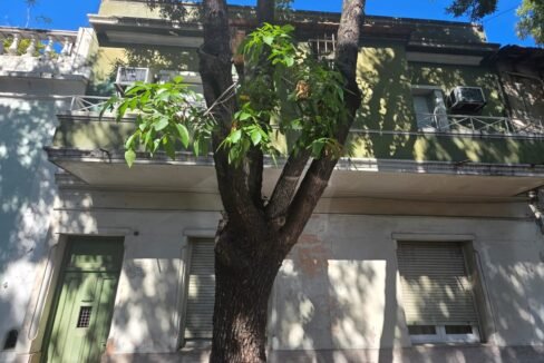 WhatsApp Image 2026-03-26 at 11.50.56